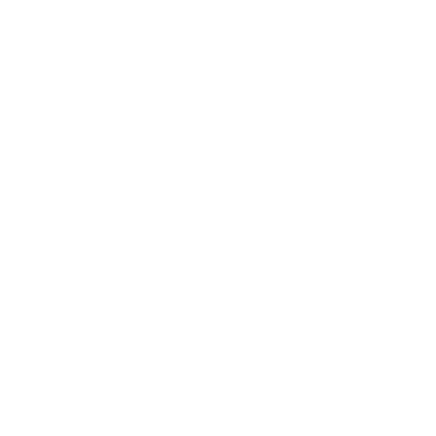 Bolsa de